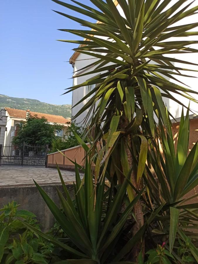 Apartments Parapid Budva Exterior photo